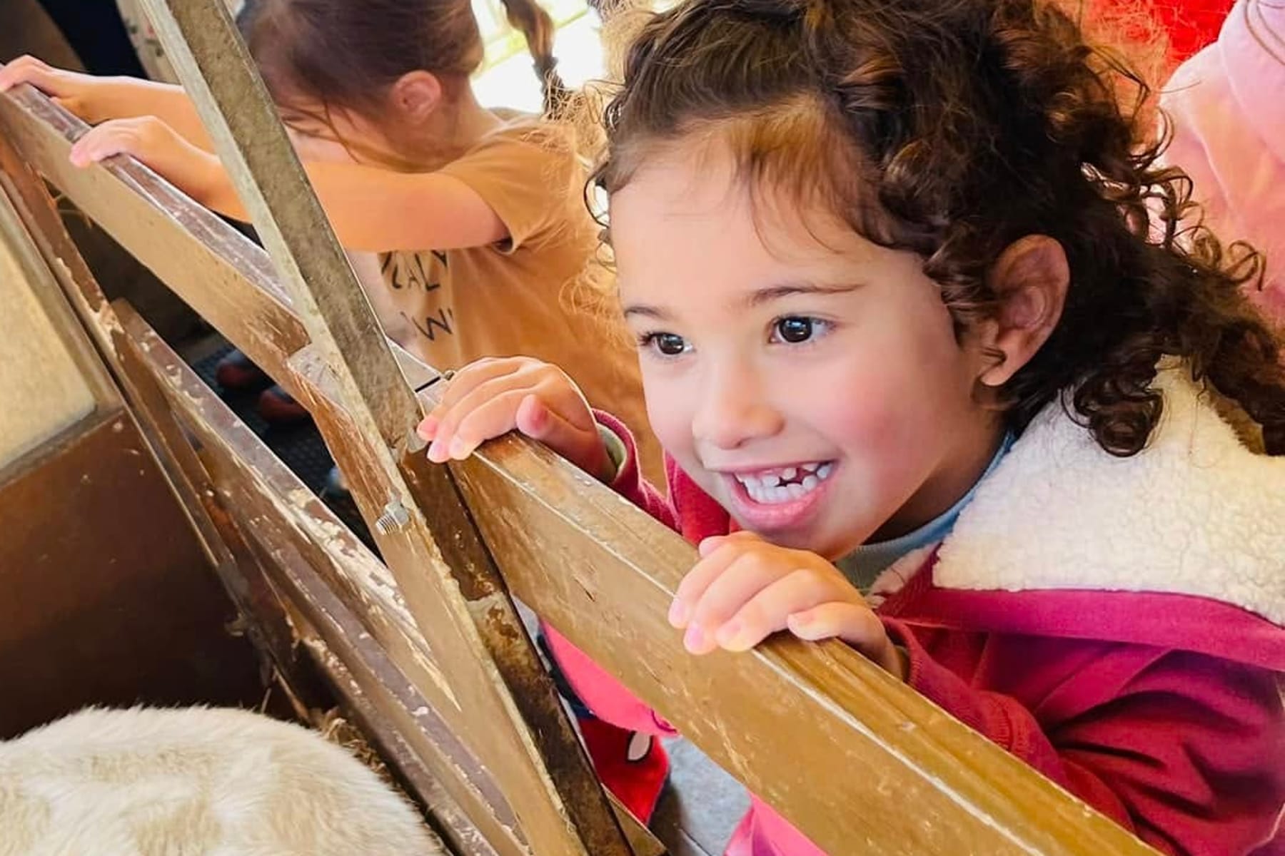 A child leaning over a wooden rail to watch a goat resting in the straw, with other children and teachers behind.